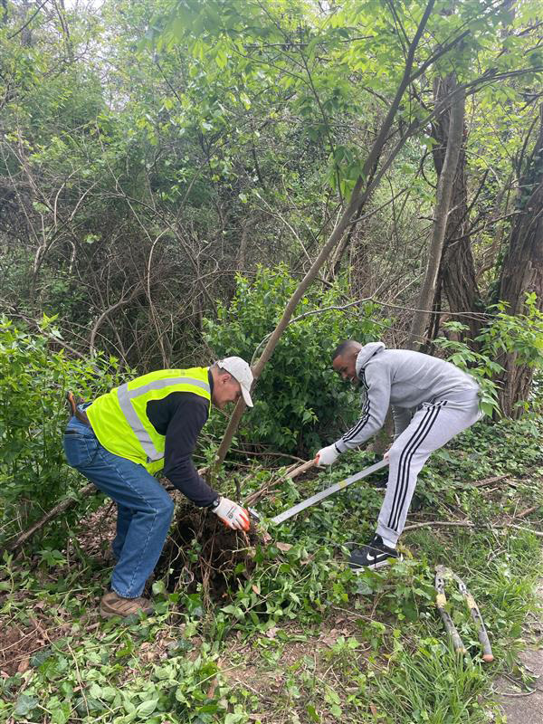 A group of Systems Planning & Analysis employees clean up invasive plant species from Glencarlyn Park in Arlington, VA