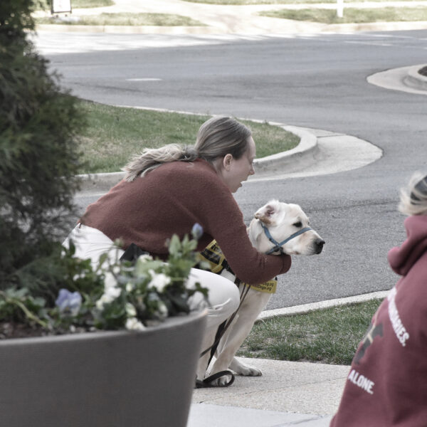 A guide dog sits obediently while the handler wraps her arms around the puppy during a training with other guide dogs and handlers