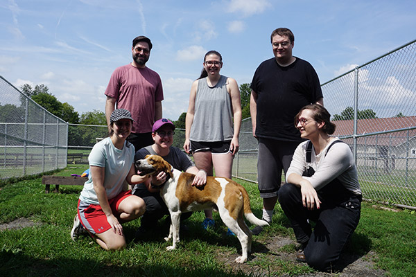 SPA's Young Professionals Group volunteer at local animal shelter