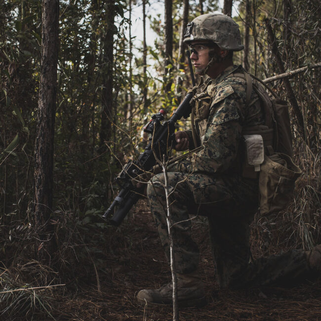 An image of a grunt surrounded by trees in the woods