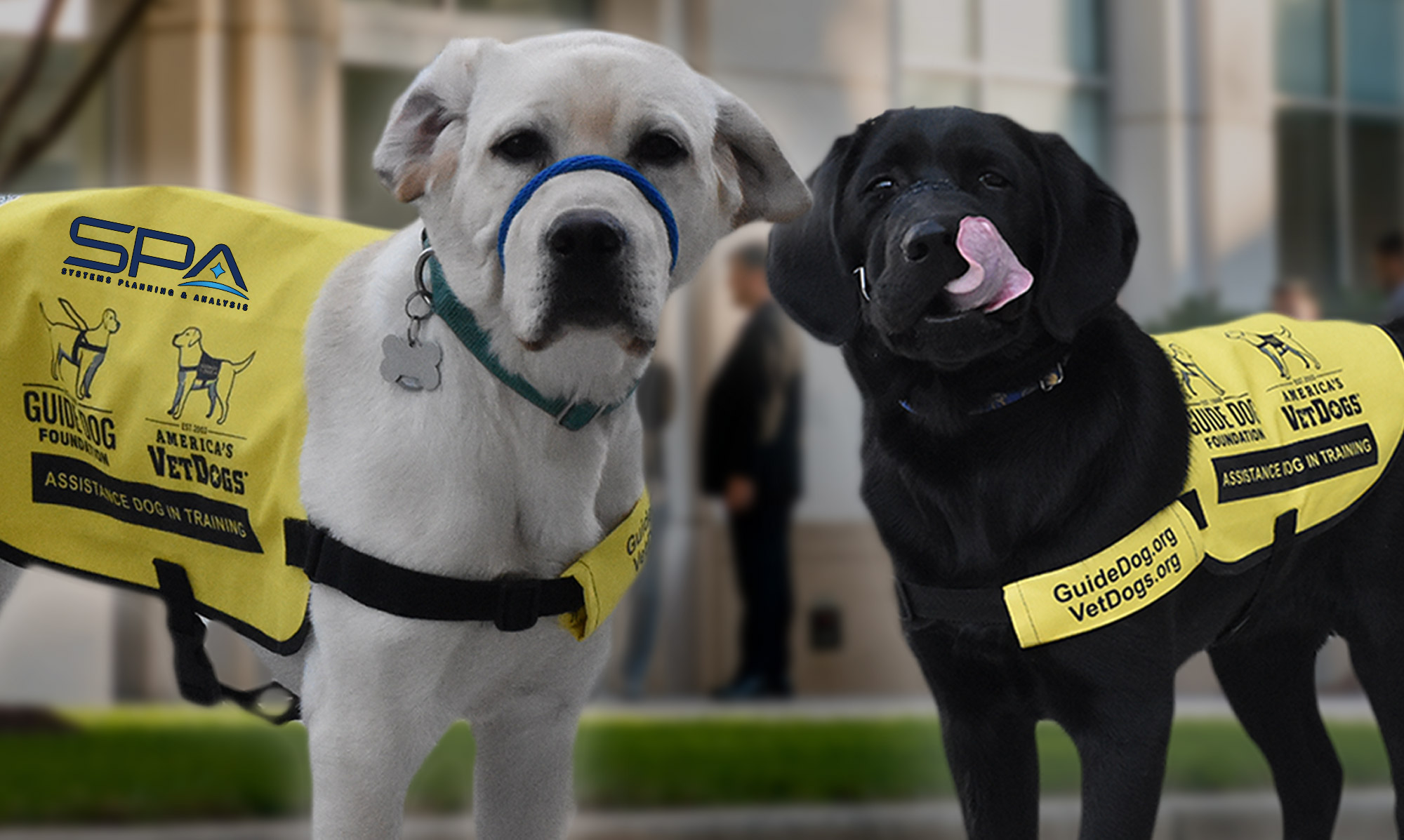 Association for Corporate Growth Honors SPA for “Puppy Fleet” Community Service