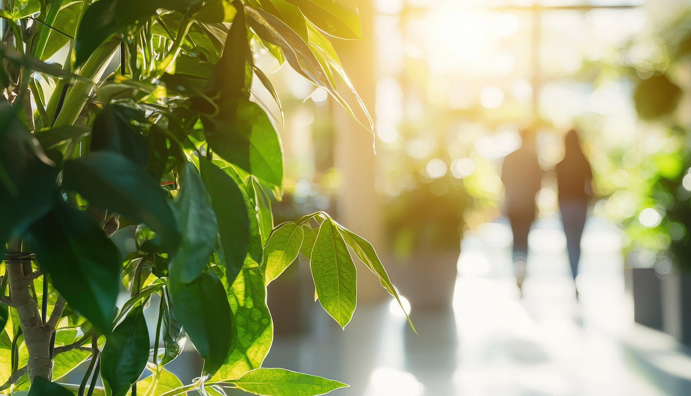 Greener Together: How SPA Employees Are Driving Environmental Action