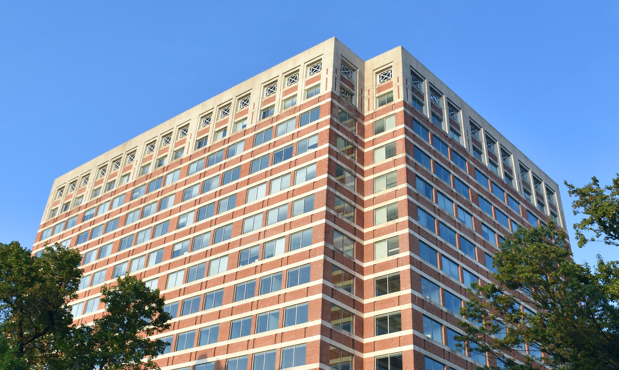 SPA Announces Organizational Realignment to Optimize Growth in Key Markets