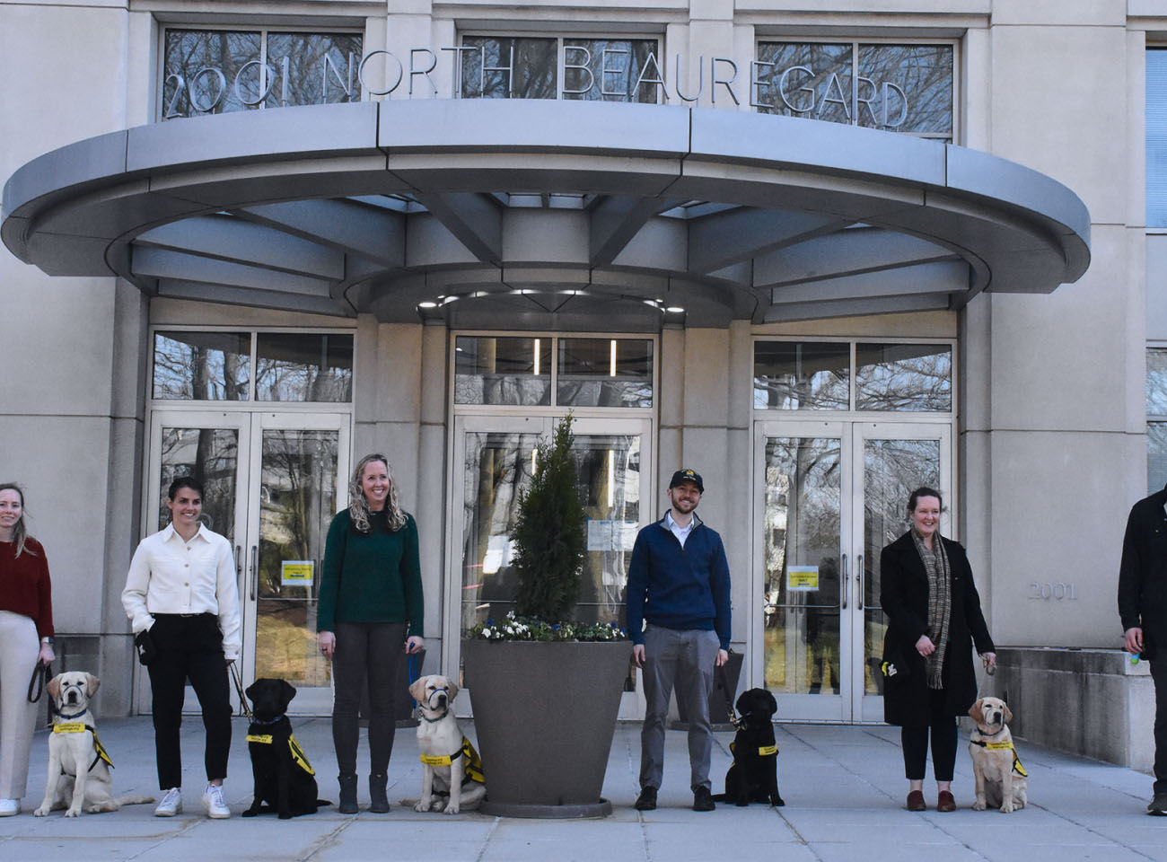 puppy_fleet_carousel_1