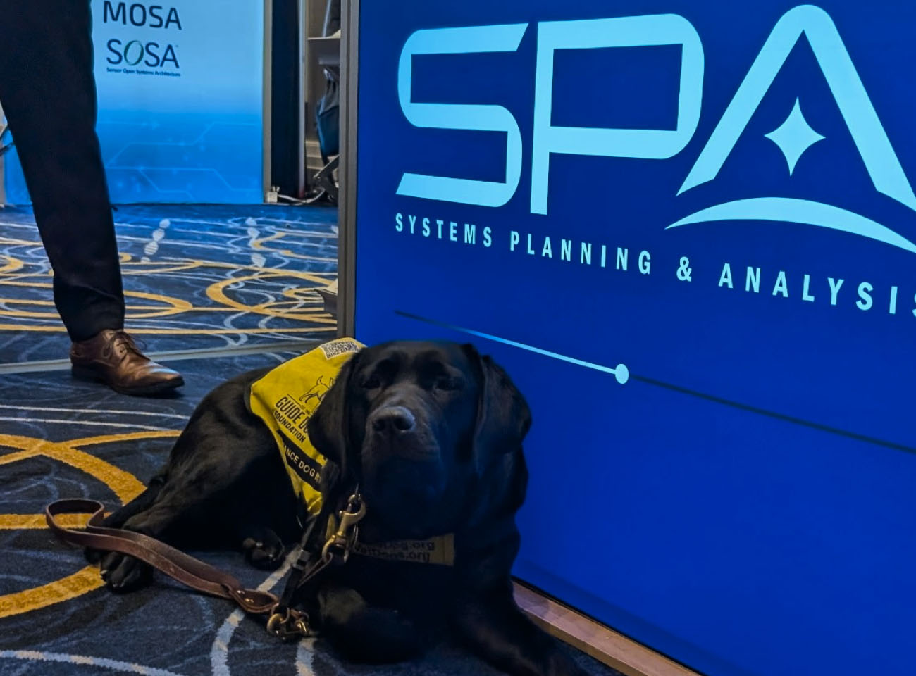 puppy_fleet_carousel_4