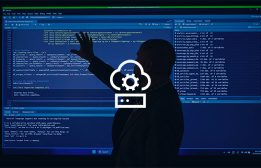 Software and Cloud Engineering